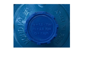 Regulador Industrial Apis Delta Mondial Azul 7kg/h 1/4